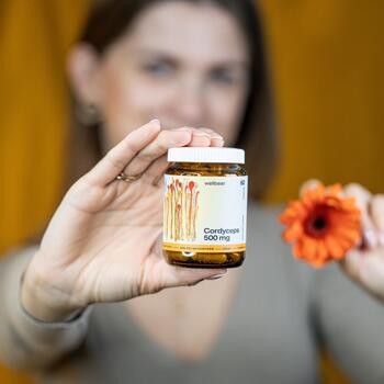 Wellbear Cordyceps 500 mg, kapsułki, 60 szt.