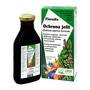 Floradix Ochrona Jelit, płyn, 250 ml