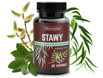 Skoczylas Stawy, kapsułki, 60 szt.