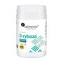 Aliness D-Ryboza, proszek, 200 g