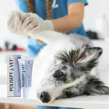 Polisept Vet Wound Gel Silver Pro, żelowy opatrunek dla psa i kota, 30 ml