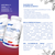 SFD B Complex 25 Methyl, tabletki, 180 szt.