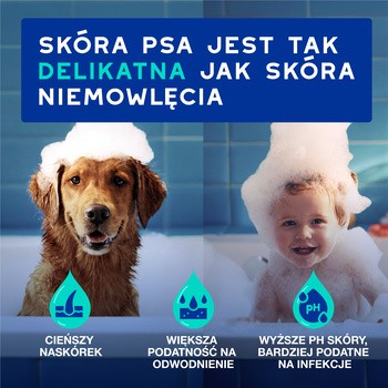 Douxo Spa Odour Control, szampon neutralizujący zapach dla psów, 250 ml