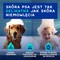 Douxo Spa Odour Control, szampon neutralizujący zapach dla psów, 250 ml
