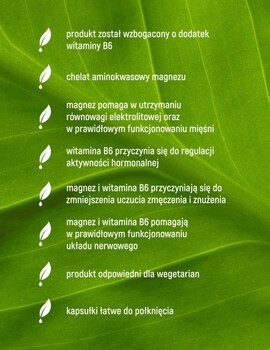Essensey Magnez Ultra Glicynian + B6, kapsułki, 90 szt.