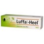 Heel-Luffa compositum, aerosol do nosa, 20 ml
