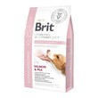 Brit Veterinary Diets Dog Grain Free Hypoallergenic, weterynaryjna karma dla szczeniąt i dorosłych psów z problemami dermatologicznymi, łosoś z groszkiem, 2 kg