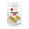 Yango Kolagen typu II, proszek, 300 g