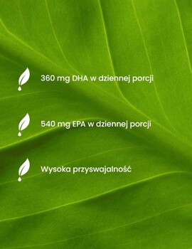 Essensey Omega 3, Serce mózg wzrok, kapsułki, 90 szt.