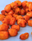 Zielonova Zielovocki, rokitnik liofilizowany, 50 g