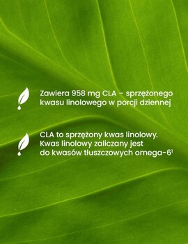 Essensey CLA, kapsułki, 90 szt.