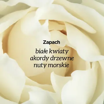 Uzdrovisco Gardenia, Krem kolagenowy naprawczy na noc, 50 ml