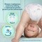Pampers Premium Care Pants, 7, (15+ kg), 99 szt.