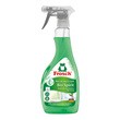 Frosch, Bio Spirit Płyn do mycia szyb, 500 ml