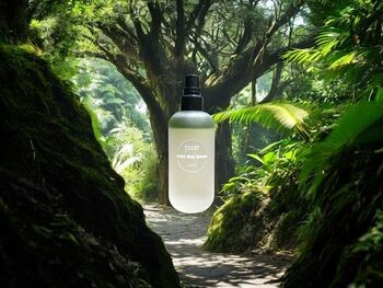 Boska Pszczoła Into the Trees, mgiełka z aloesem i pąkami topoli, 100 ml