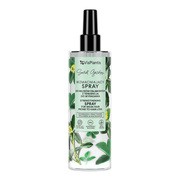 Vis Plantis, wzmacniający spray do włosów, 200 ml https://azcdn.doz.pl/image/d/product/1b63bcb8-scale-180x180.png
