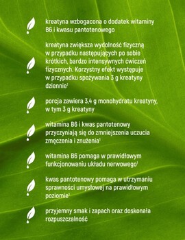 Essensey Kreatyna Premium, proszek, smak zielonego jabłka, 500 g