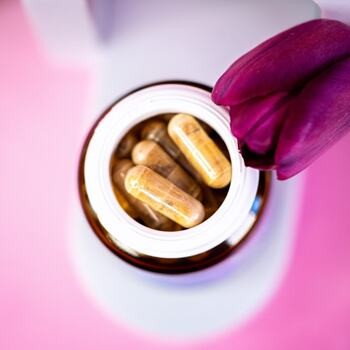 Wellbear Kudzu 500 mg, kapsułki, 60 szt.