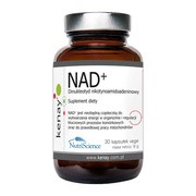 NAD+ (dinukleotyd nikotynoamidoadeninowy), kapsułki, 30 szt.