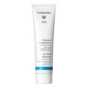 Dr. Hauschka, Ice Plant Shampoo, szampon do włosów z przypołudnika, 150 ml https://azcdn.doz.pl/image/d/product/2311ef3f-scale-180x180.png