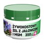 Virde, żel żywokostowy z jałowcem i MSM, 350 g