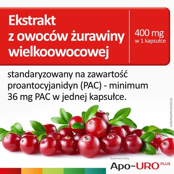Apo-Uro Plus, kapsułki, 30 szt.