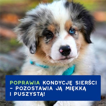 Douxo Spa Puppy, Shampoo, szampon dla szczeniąt, 250 ml
