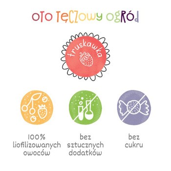 Otolandia Oto Tęczowy Ogród, liofilizowana truskawka, proszek, 40 g