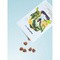 Health Labs AshwaMe Gummies, żelki, smak mango, 60 szt.