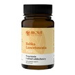 Biolit Babka lancetowata Plus, płyn, 75 ml