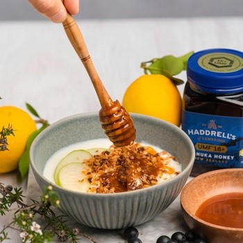 Haddrell's, Manuka Honey, miód manuka UMF16+, MGO570+, 500 g