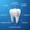 Oral-B Pro Expert Gentle Whitening, pasta do zębów, 75 ml
