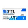 Magvit B6, tabletki dojelitowe, 50 szt.