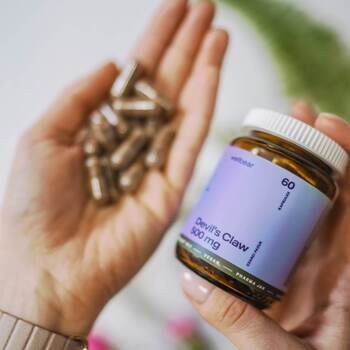 Wellbear Devil's Claw 500 mg, kapsułki, 60 szt.