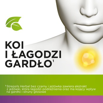 Strepsils Herbal, pastylki do ssania czarny bez i jeżówka, 24 szt.