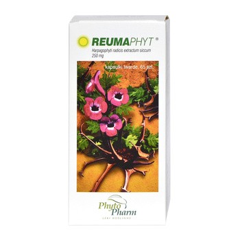 Reumaphyt, 250 mg, kapsułki twarde, 65 szt.