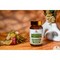 My Herbs Mio Inozytol N-acetylo-L-cysteina Premium, kapsułki, 60 szt.