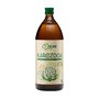 DOZ Zielnik Karczoch, płyn, 1 l