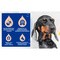 Douxo Spa Shed Control, szampon przeciw wypadaniu sierści dla psów, 250 ml