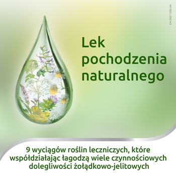 Iberogast, płyn doustny, 100 ml