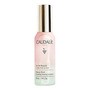 Caudalie Beauty Elixir, woda rozświetlająca, 30 ml
