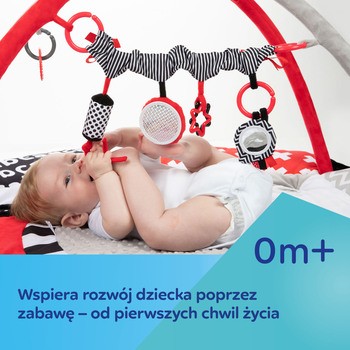 Canpol Babies Sensory Toys, sensoryczna mata do zabawy, 1 szt.