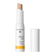 Dr.Hauschka, sztyft korygujący i przyspieszający gojenie, 01 natural, 1,9 g