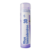 Boiron Rhus-toxicodendron, 30 CH, granulki, 4g