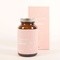 UP Pregnacy+ Start, kapsułki, 90 szt.