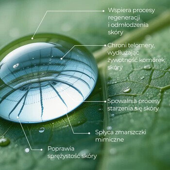 Alkmie Youth Essence, serum odmładzające, 30 ml