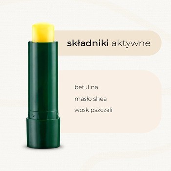 Sylveco, brzozowa pomadka z betuliną, 4,6 g