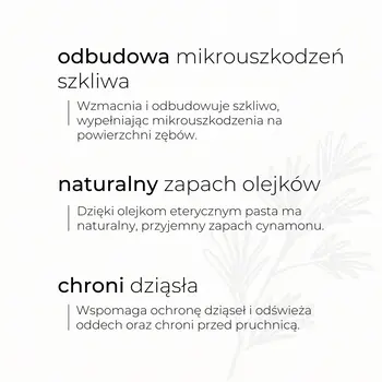 Sylveco, pasta do zębów, cynamonowa, 100 g