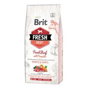 Brit Fresh Puppy Large Growth & Joints, wspierająca rozwój mięśni i stawów karma dla szczeniąt i psów młodych dużych ras, wołowina i dynia, 2,5 kg https://azcdn.doz.pl/image/d/product/c3c3d3d0-scale-180x180.png