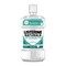 Listerine Naturals Teeth Protection, płyn do płukania jamy ustnej, 500 ml